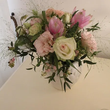 'a Chesodde * 치스테르니노